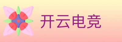 开云电竞 logo